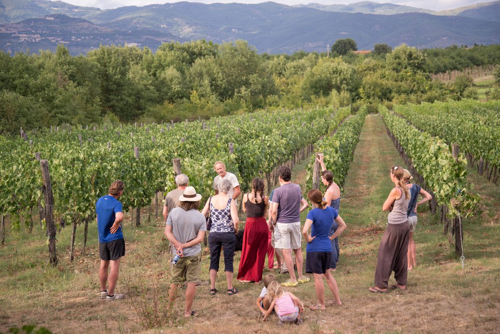 Toscane, Wijn bij pasta