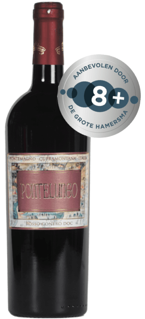 Pontelungo Rosso Conero