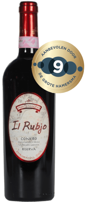 Pontemagno Il Rubjo Conero Riserva DGH-9