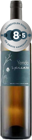 Yenda Spicata DGH