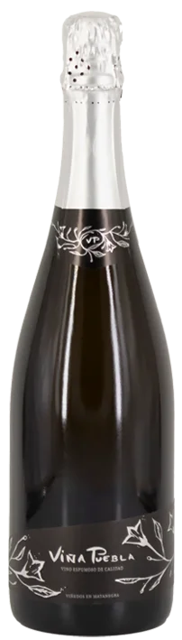 Bodegas Toribio Brut Blanco de Garnacha Tinto Extremadura