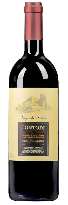 Fontodi chianti classico riserva glan selezione vinge del sorbo