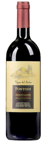 Fontodi chianti classico riserva glan selezione vinge del sorbo